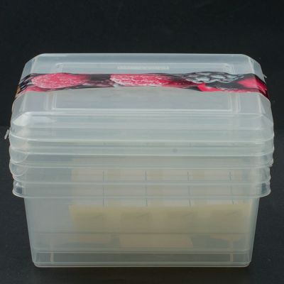 Комплект контейнеров для заморозки Asti квадратных 0,5л х 3 шт. (бесцветный)